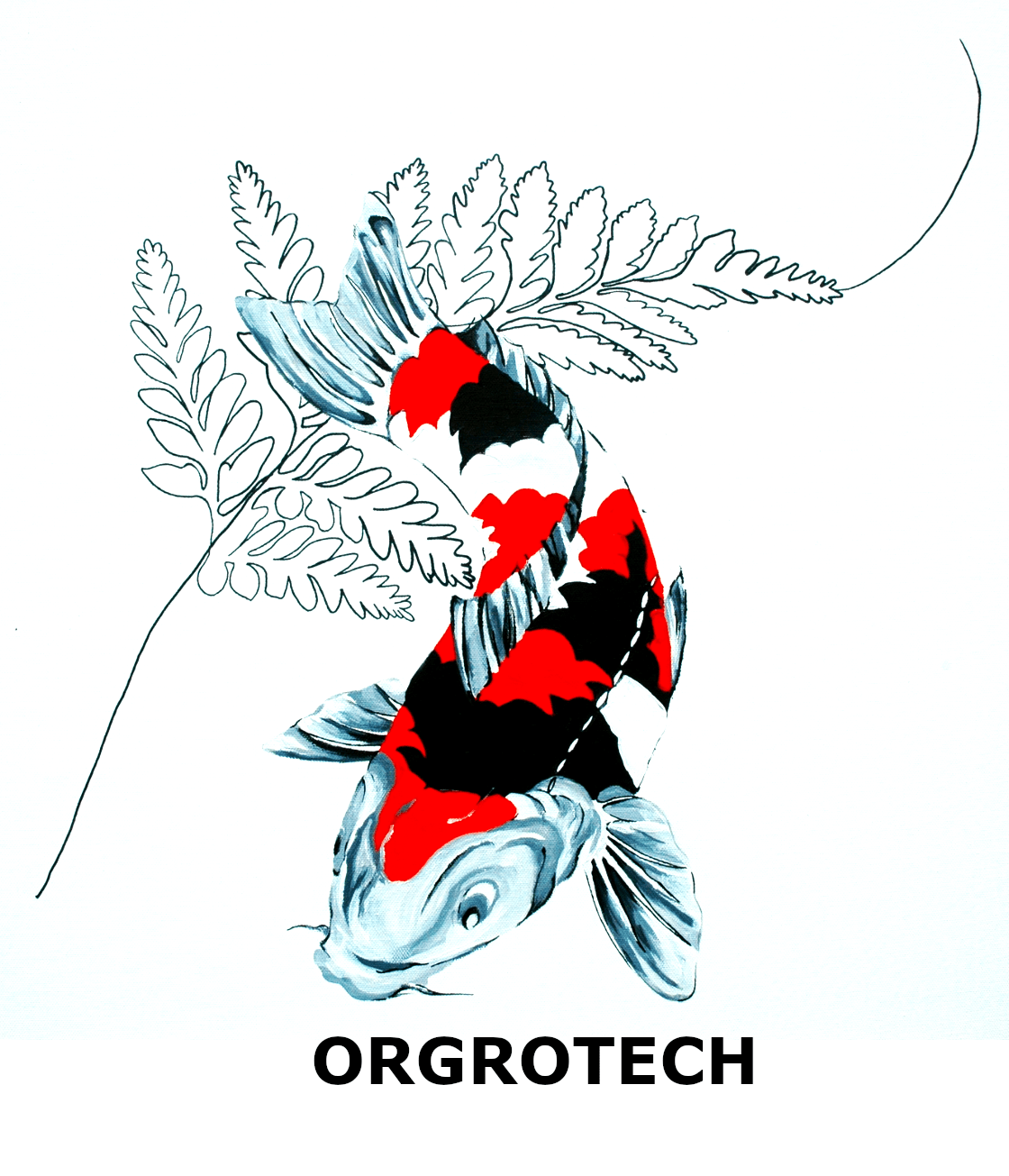 Shop - Japanese Koi Growers - Quality Koi for sale